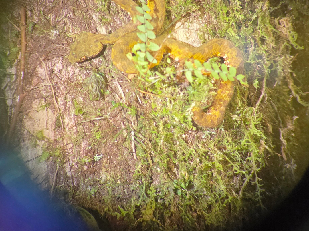 Amstar DMC-利比里亚必去景点