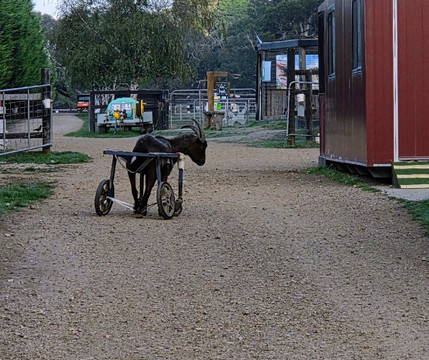 Edgar's Mission-Lancefield必去景点