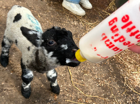Bissett's Barn - The Rings-库珀必去景点