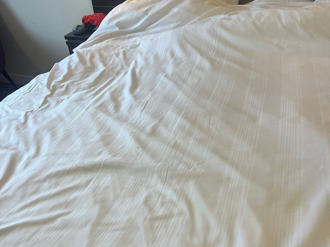 利奇菲尔德普莱米尔酒店市中心主图