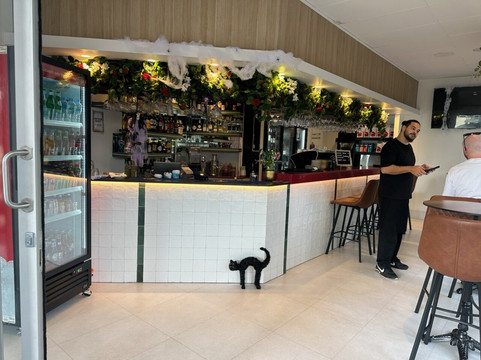 Rasa Italian Kitchen & Bar