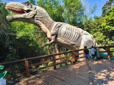 Dreams Park Show-伊瓜苏必去景点