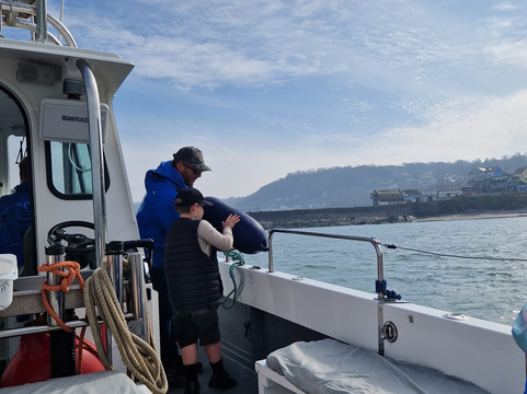 Dolphin Spotting Boat Trips (by New Quay Boat Trips)-纽基必去景点