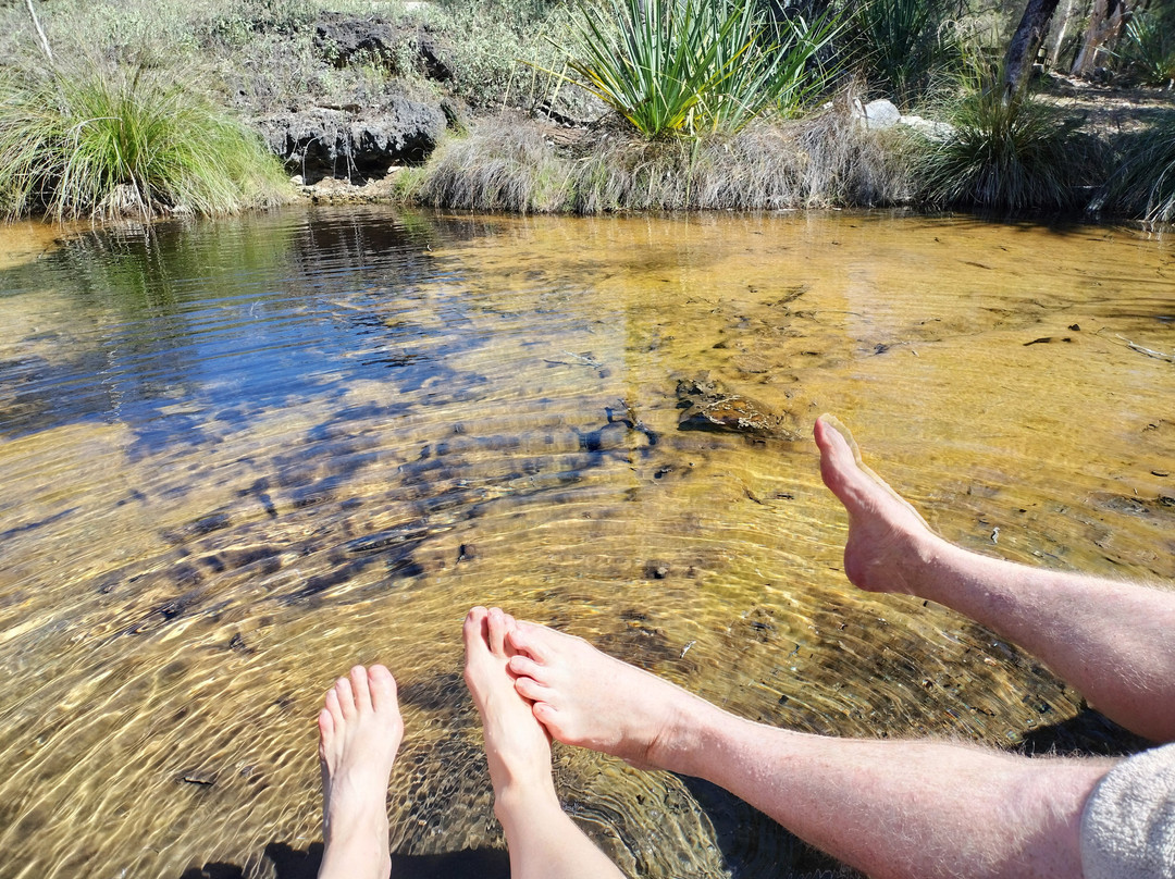 Talaroo Hot Springs