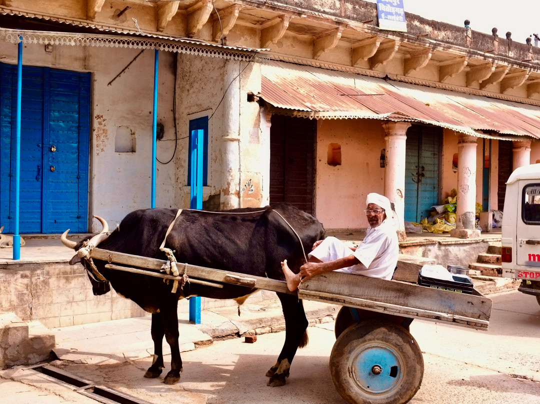 A Baisa’s Adventures-Shekhawati必去景点