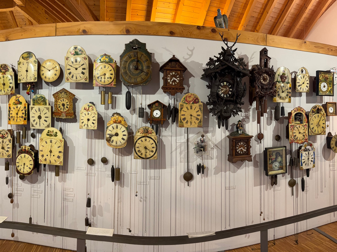 帕法福各姆酒店主图