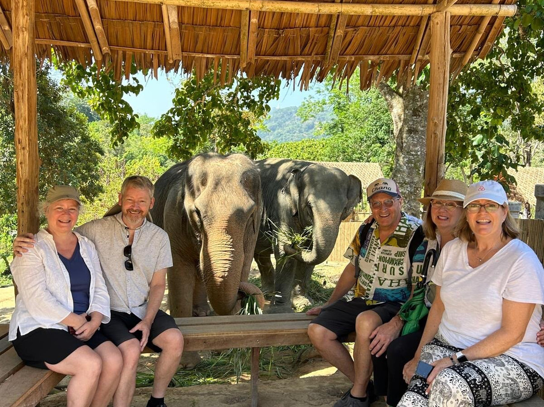 Hidden Forest Elephant Reserve-查龙必去景点