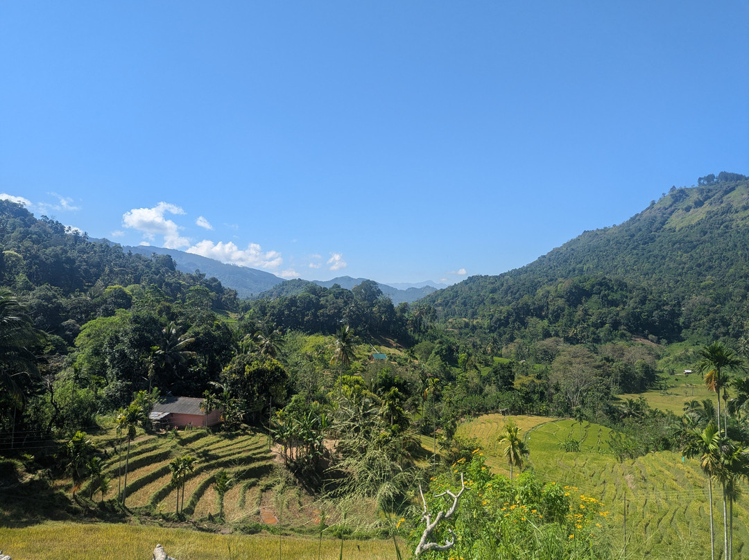 Kandy Trekking Tours-康提必去景点