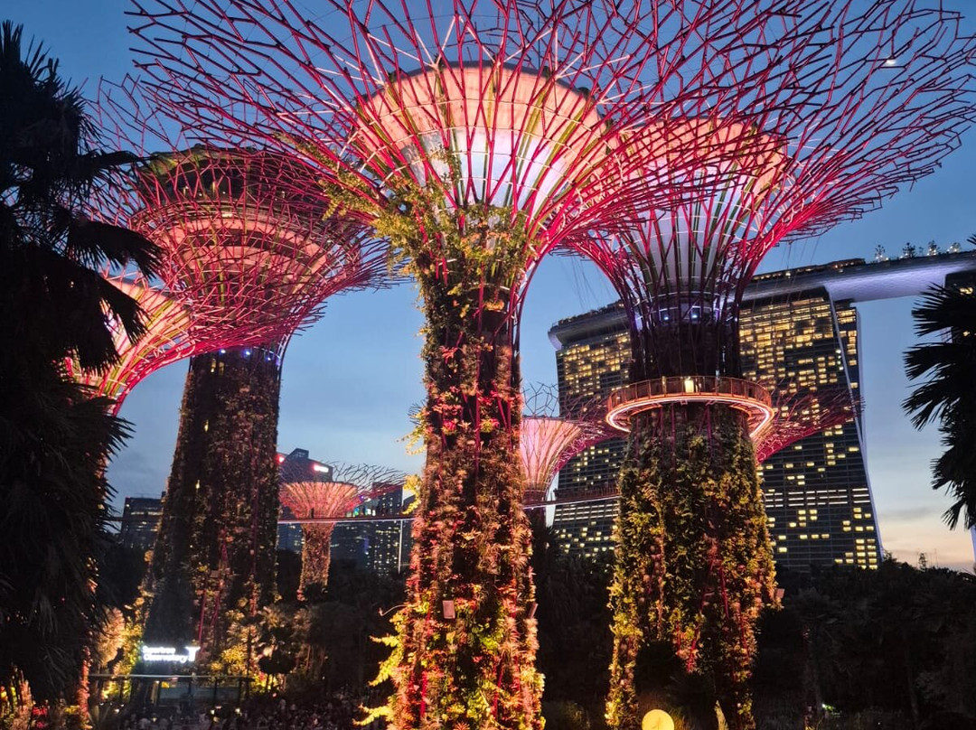 SkyLink Travel Pvt Ltd-新德里必去景点