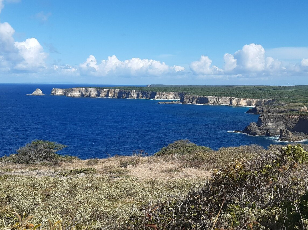 Pointe de la Grande Vigie-Anse-Bertrand必去景点