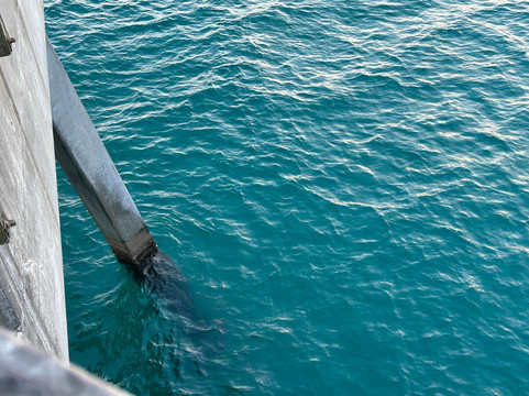 The Boardwalk on Okaloosa Island-华尔顿堡滩必去景点
