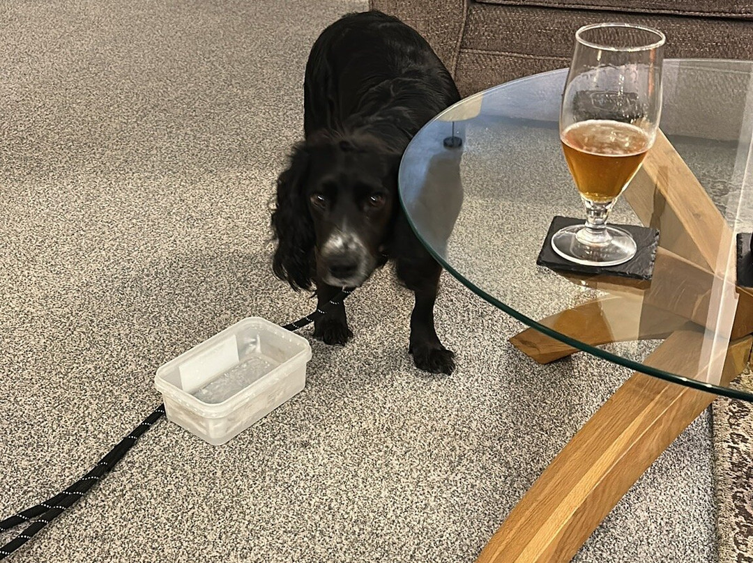 阿索尔旅馆主图