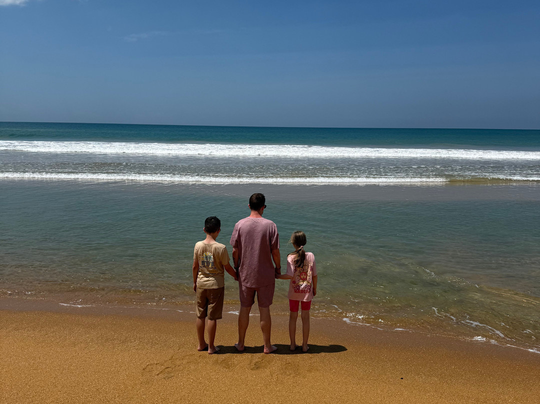 Bhathiya Tours-加勒必去景点