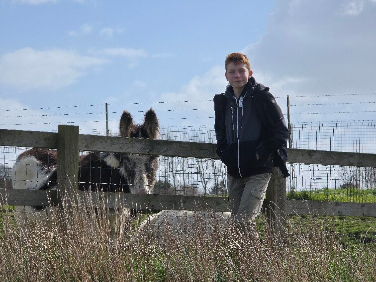 怀特岛毛驴之家-文特诺必去景点