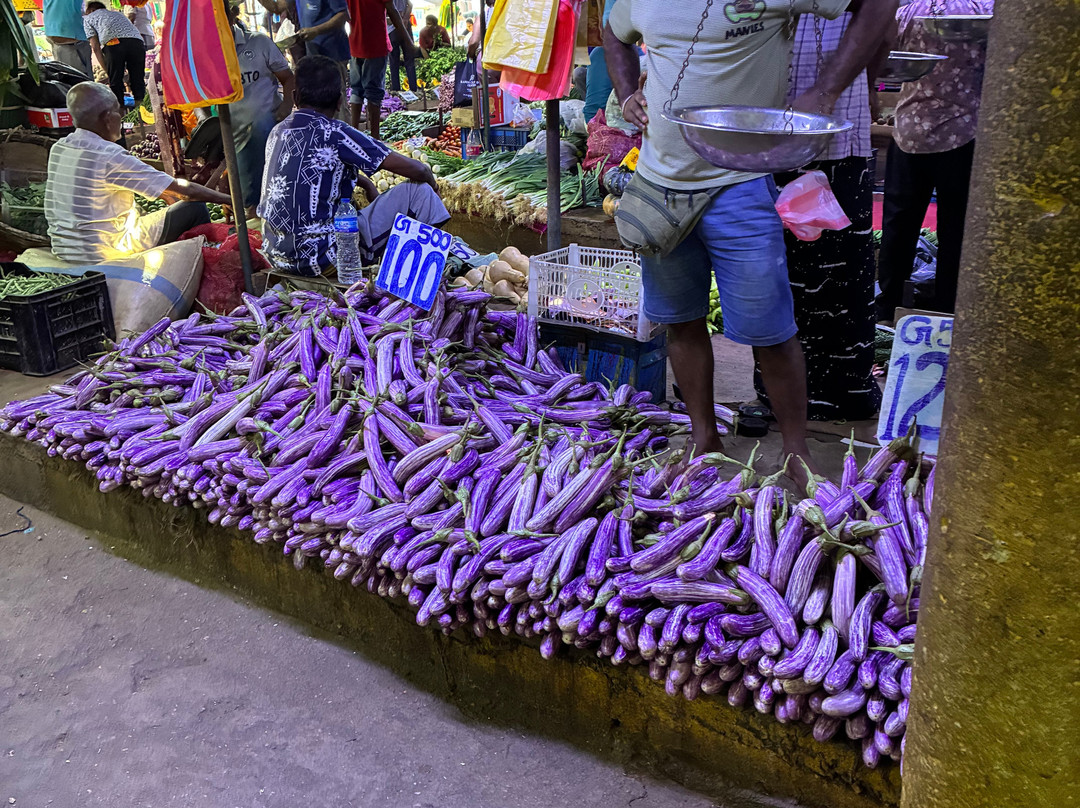 Bee Travels-康提必去景点