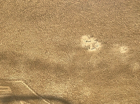 瓦伦西亚港海你酒店主图