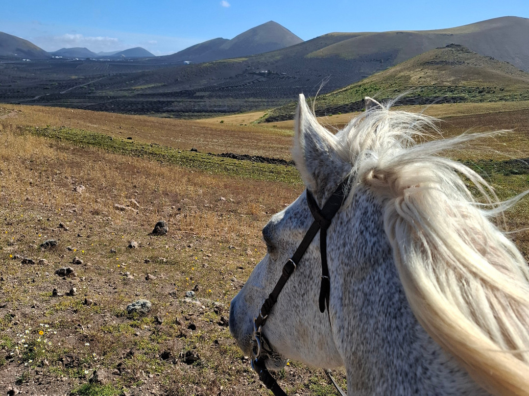 Lanzarote a Caballo-兰萨罗特必去景点