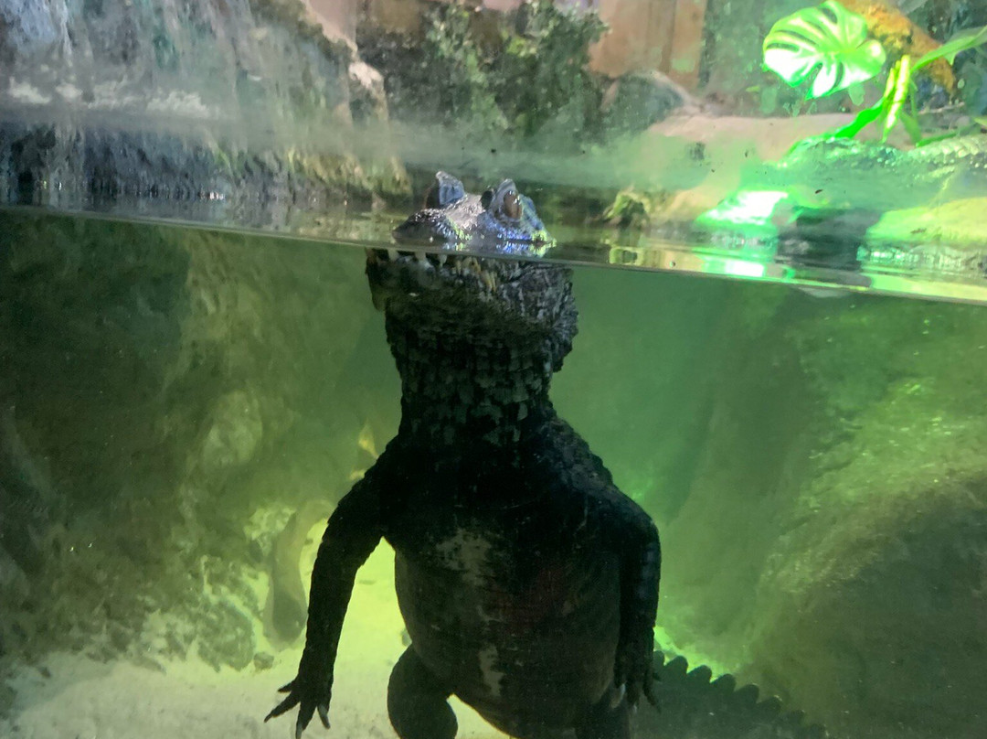 Blue Reef Aquarium-纽奎必去景点