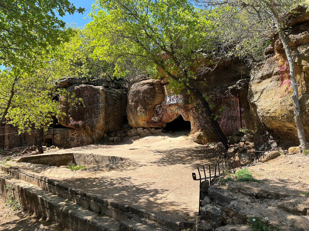 Old Zoo Nature Trails