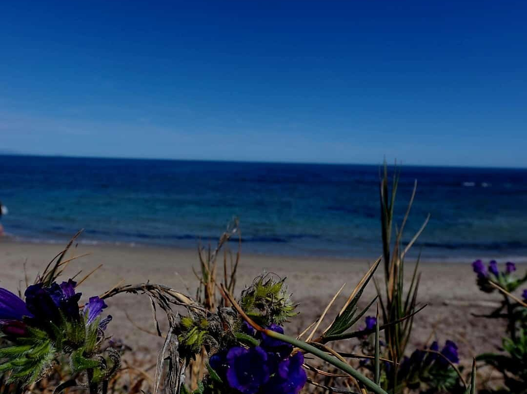 Platja Del Carabassí-埃尔切必去景点