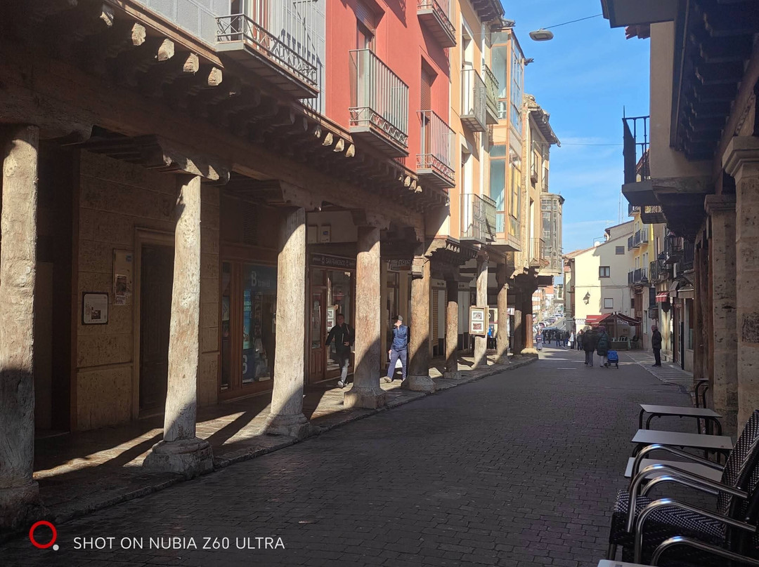 Rua Mayor-Medina de Rioseco必去景点