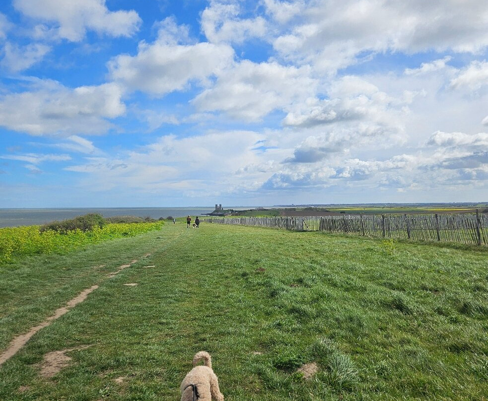 Reculver Towers and Roman Fort-Herne Bay必去景点