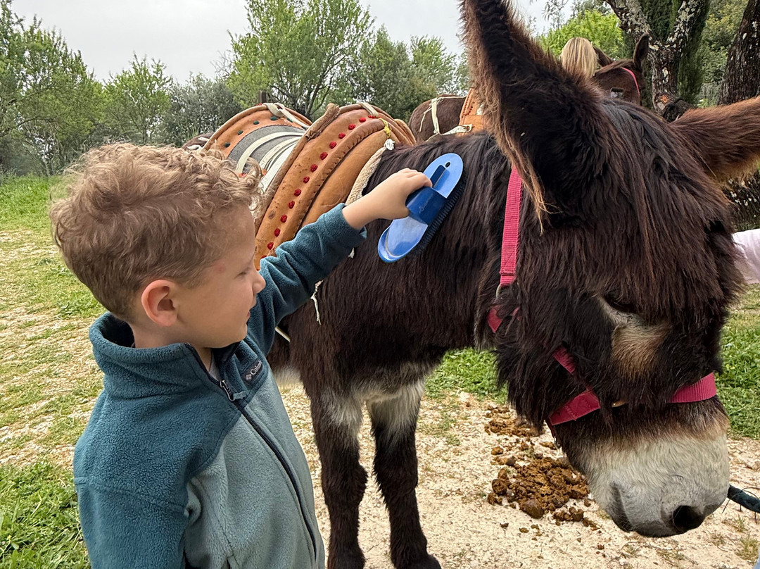 Happy-Donkeys Algarve-Monchique必去景点