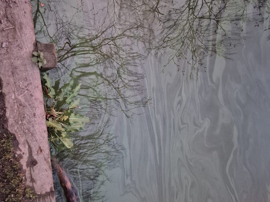 Talkin Tarn Park-卡莱尔必去景点
