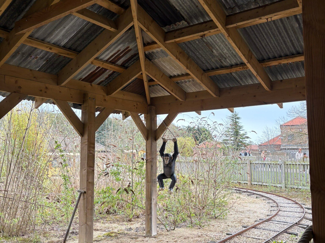 Lightwater Valley Family Adventure Park-North Stainley必去景点