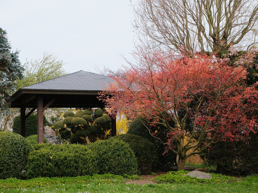 Japanischer Garten-佛莱堡必去景点