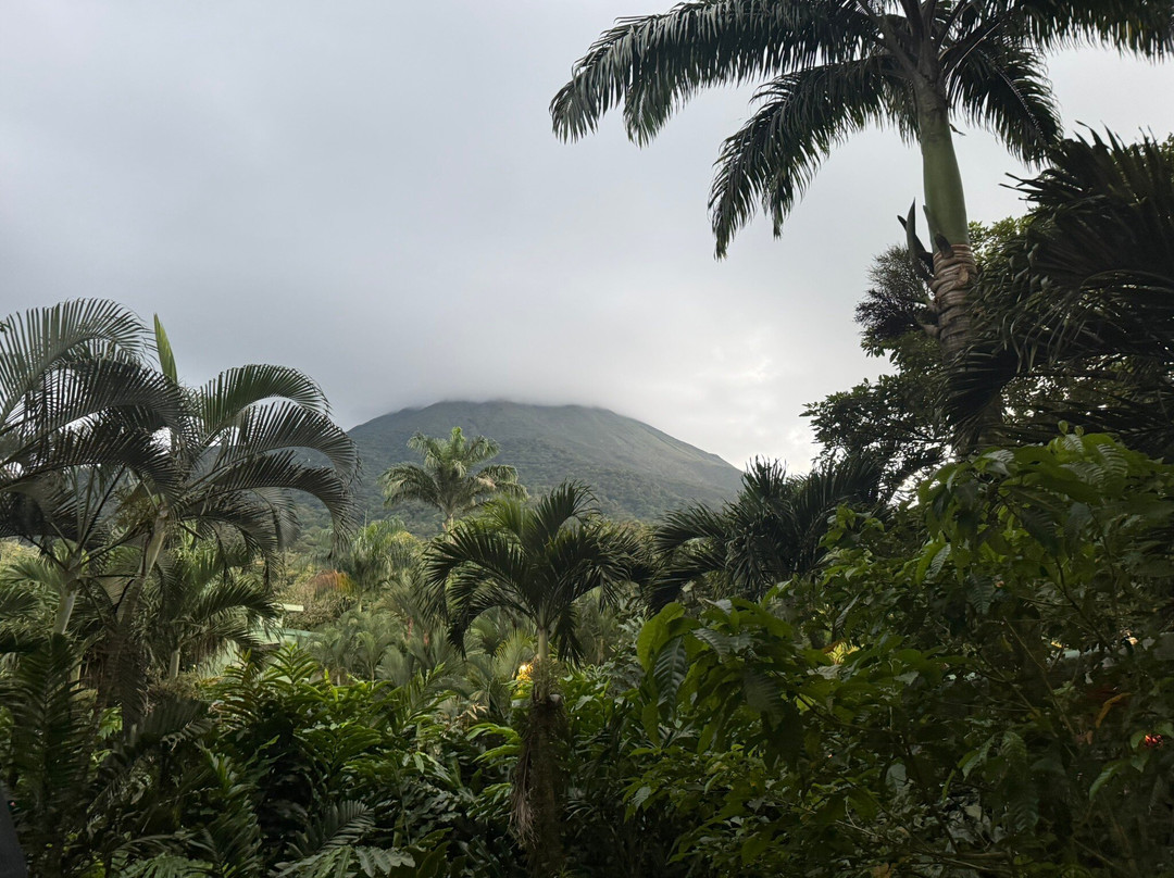 Sol Tropical Day Tours-圣何塞必去景点