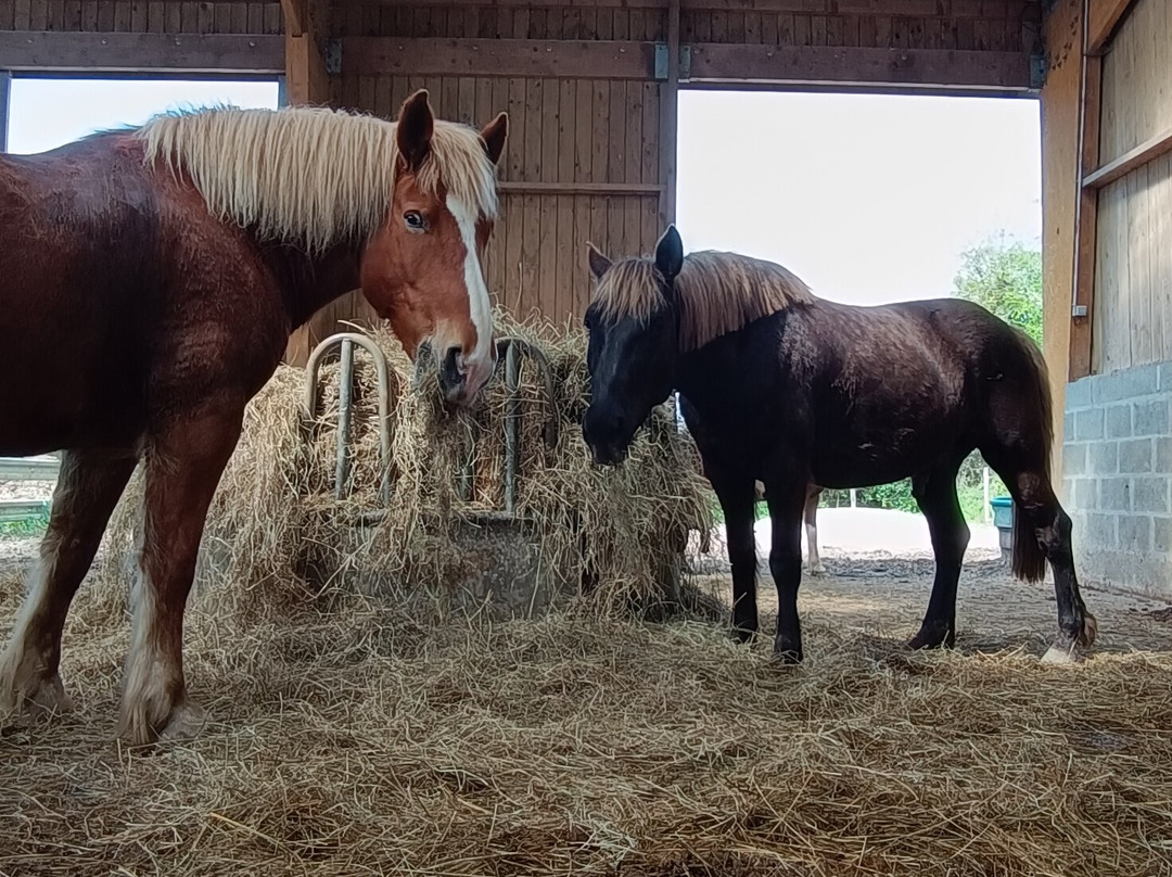 Ecurie Leseigneur-Bolleville必去景点
