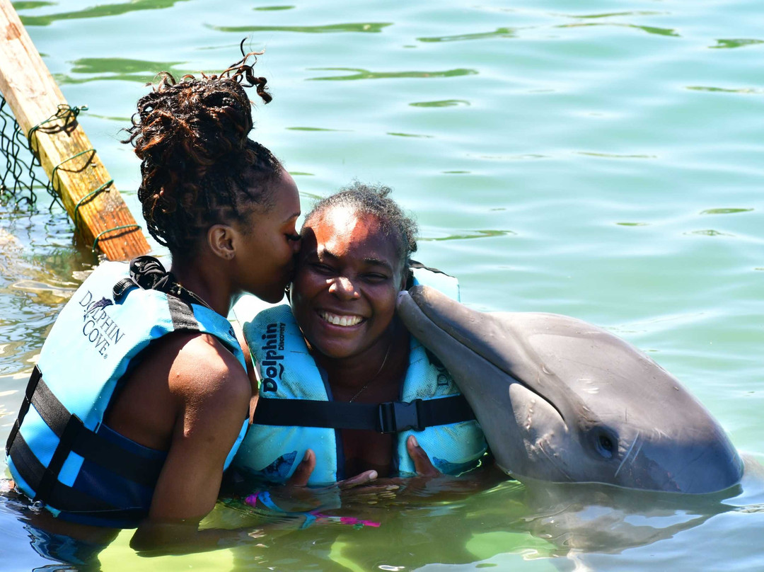 Dolphin Cove Montego Bay-Lucea必去景点