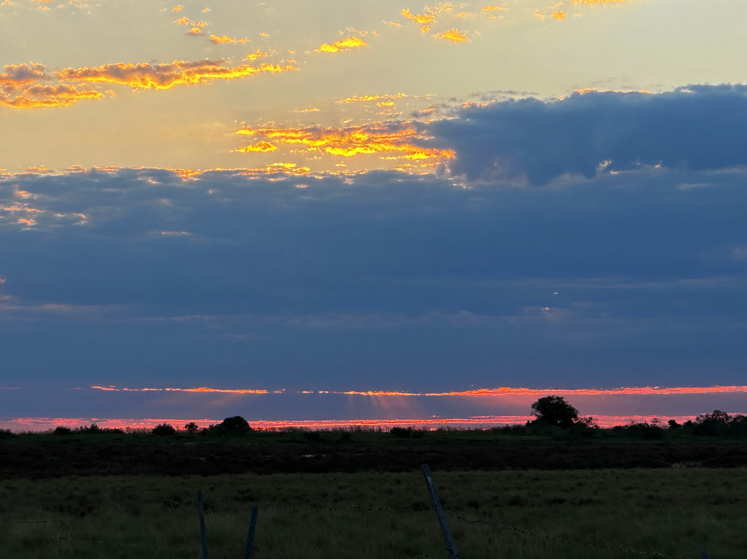 Broome Bird Observatory-布鲁姆必去景点