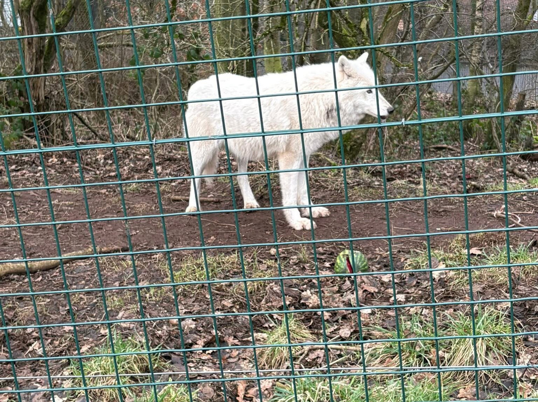 Five Sisters Zoo-West Calder必去景点