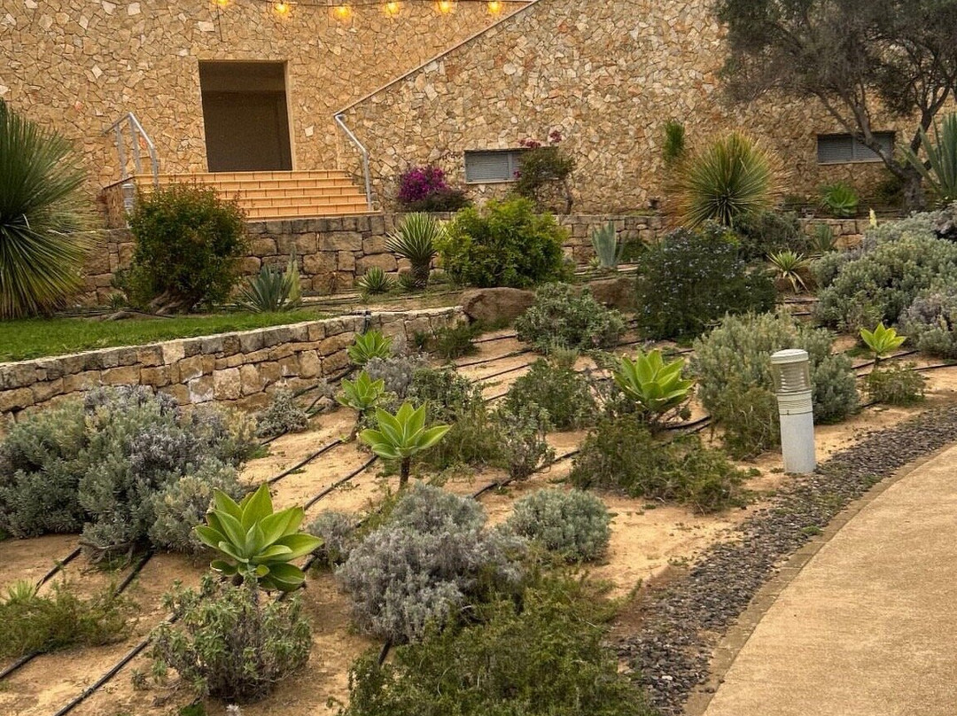 佩斯塔纳波尔图圣海滩度假村（食宿全包）主图