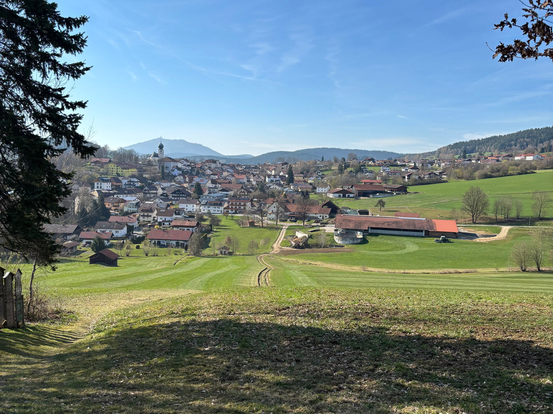 Hotel Sonnenhof Lam主图