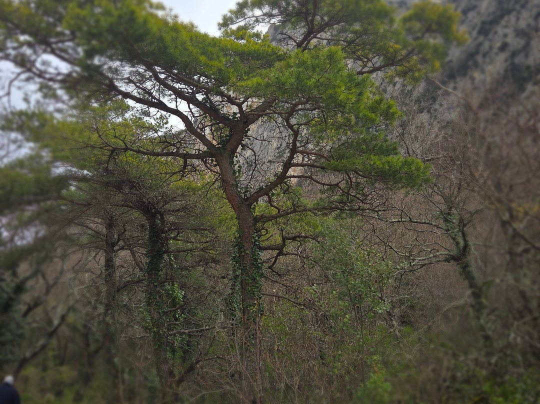 L’Auberge des Dauphins-Saou必去景点
