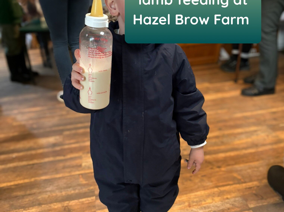 Hazel Brow Farm Visitor Centre-Low Row必去景点