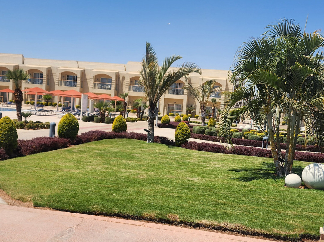 Albatros Aqua Park Sharm-沙姆沙伊赫必去景点