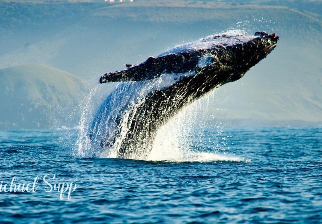 African Watersports-Umkomaas必去景点