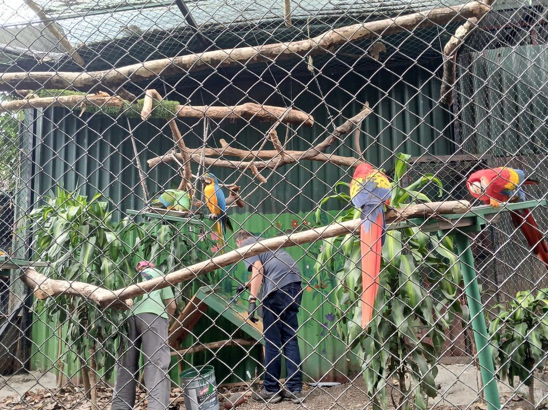 Refugio Animal De Costa Rica-圣安娜必去景点