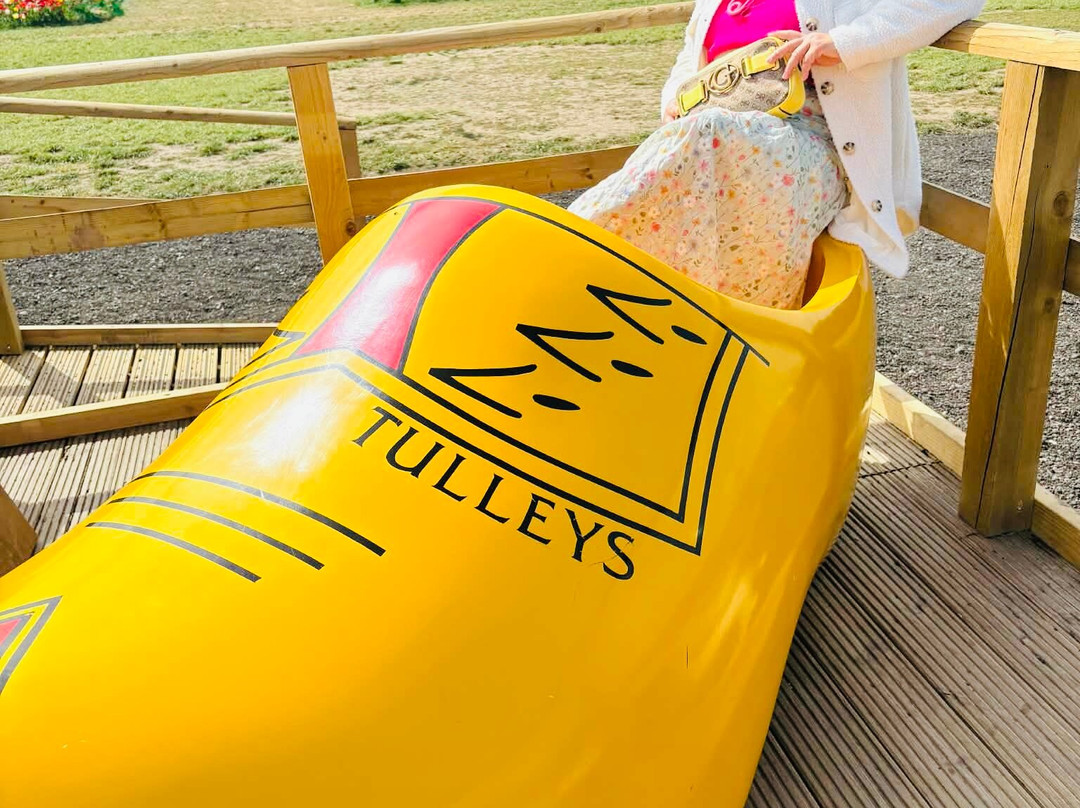Tulleys Tulip Fields - Hertfordshire-圣奥尔本斯必去景点