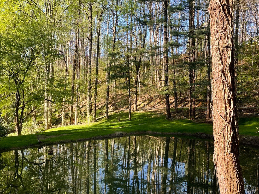 普拉特溪路上黄色小屋酒店主图