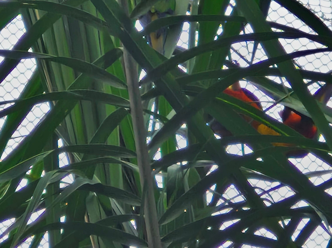 Parque Arvorar-Aquiraz必去景点