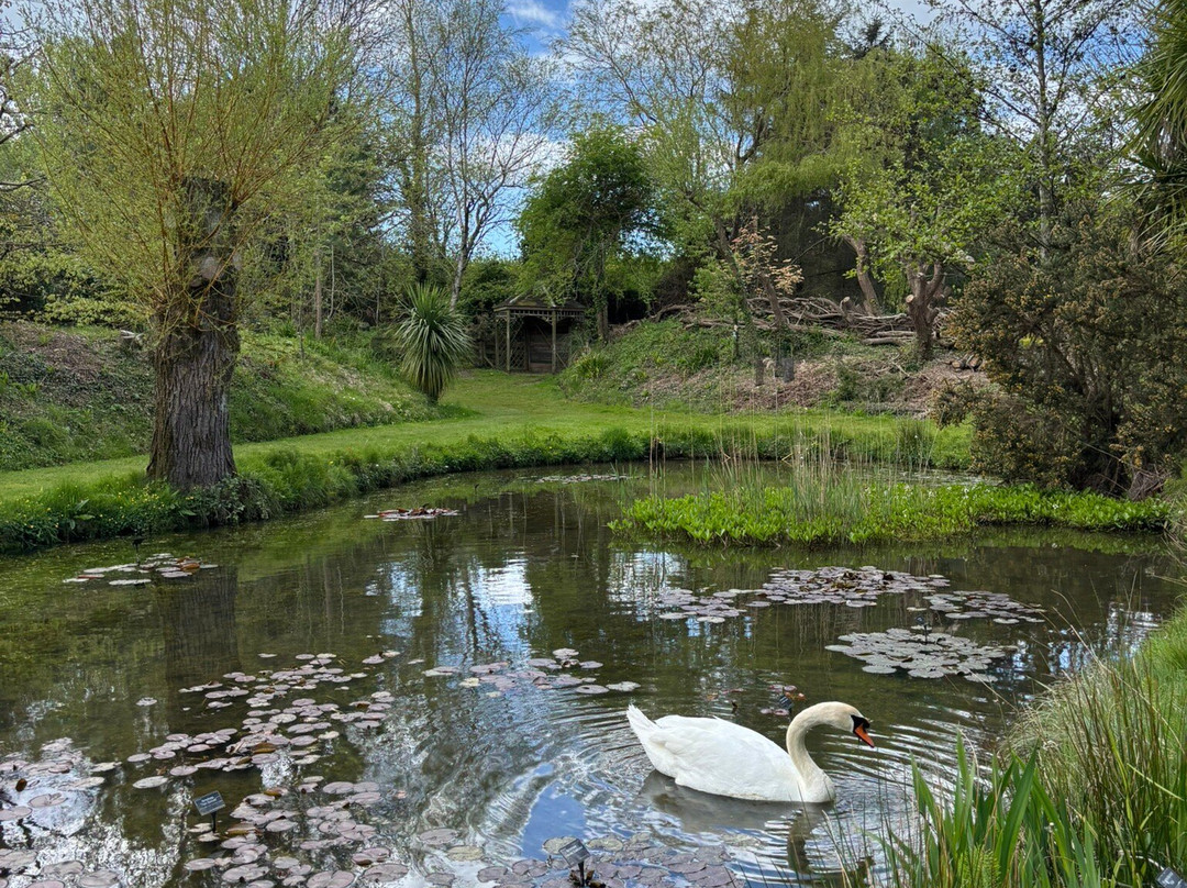 Bennetts Water Gardens-Chickerell必去景点