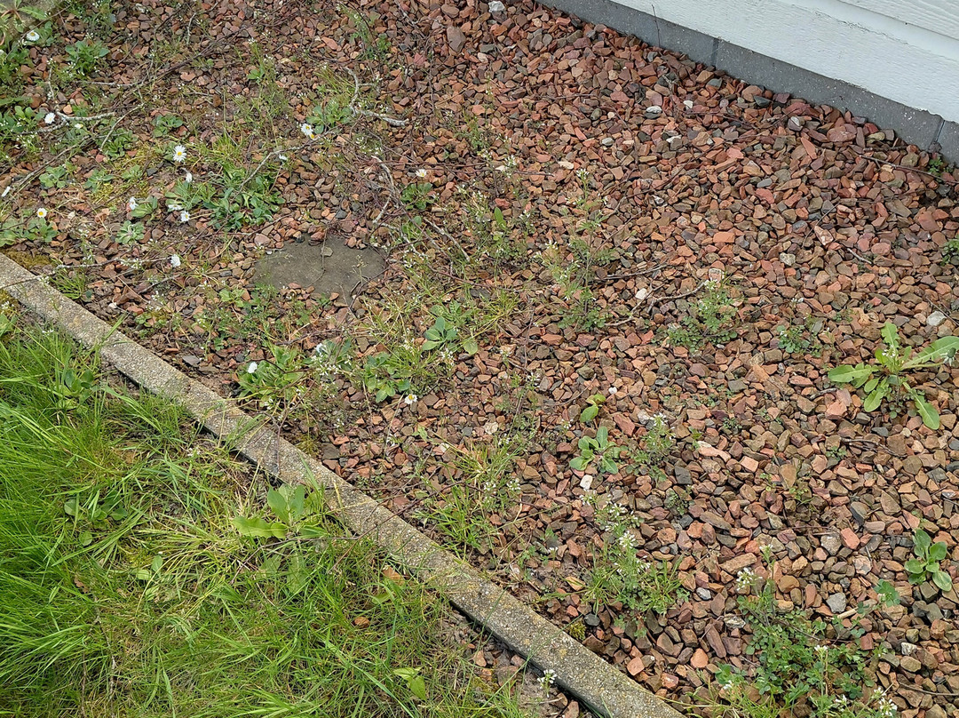 欧洲公园莫伦格鲁特主图