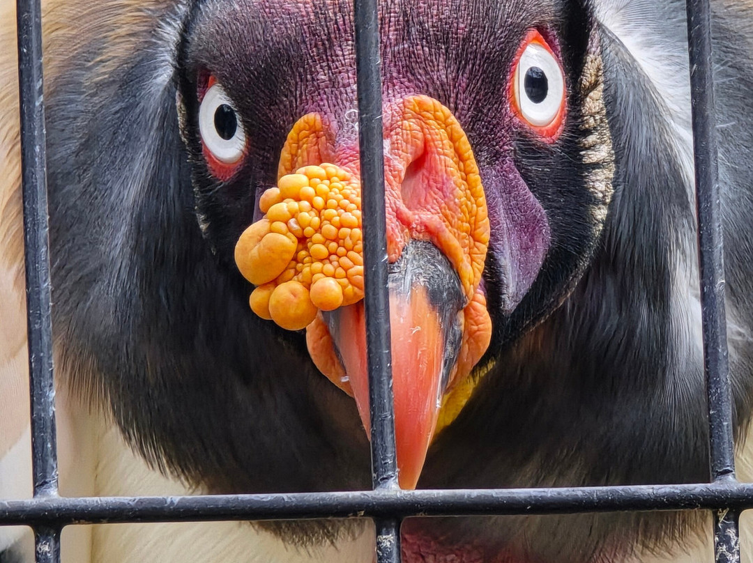 Zoo World Zoological Park-巴拿马城海滩必去景点