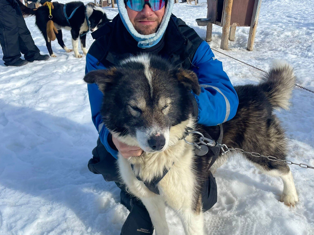 Green Dog Svalbard-朗伊尔城必去景点