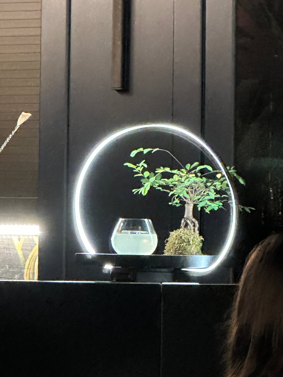 布拉迪斯拉发丽笙卡尔顿酒店-旅行者